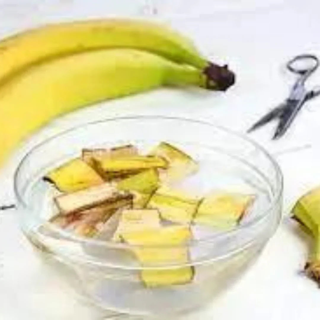 Dry Banana peel fertilizer