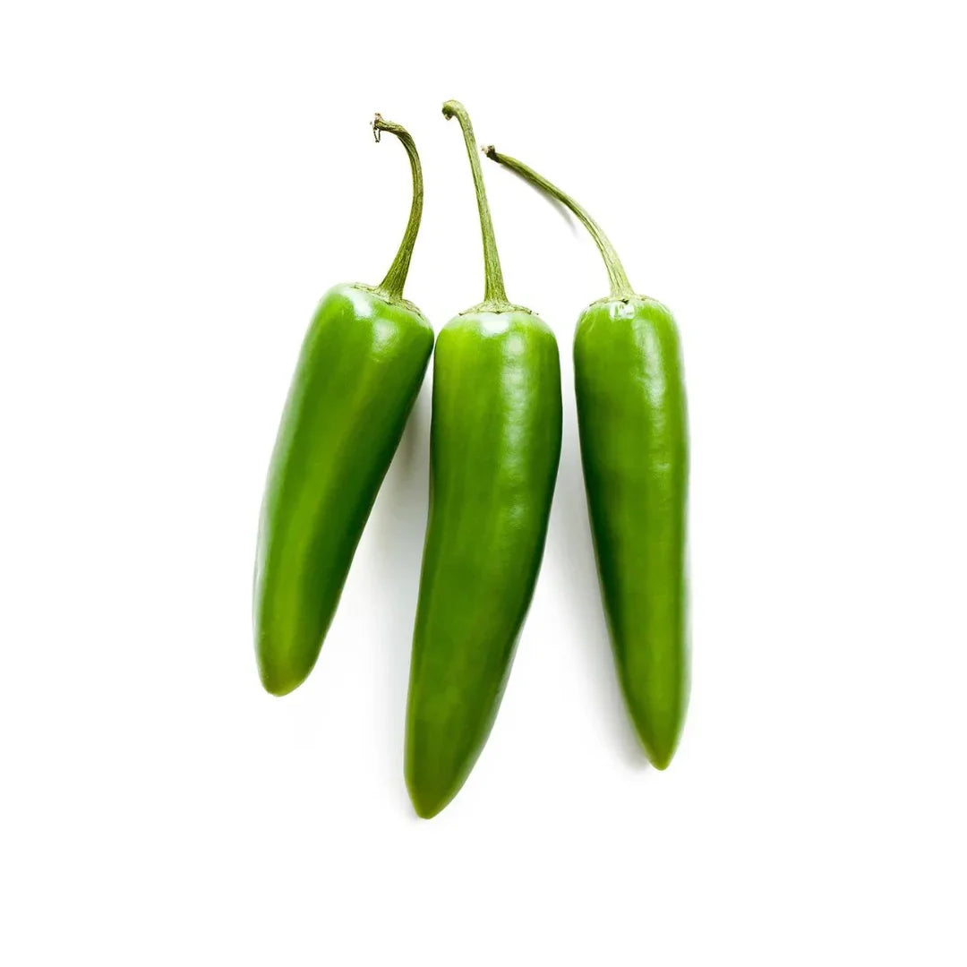 How to grow and care chillis in your garden