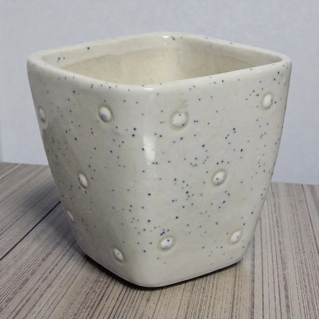 White Ceramic Square Pot With Speckled Pattern And Raised Dots.