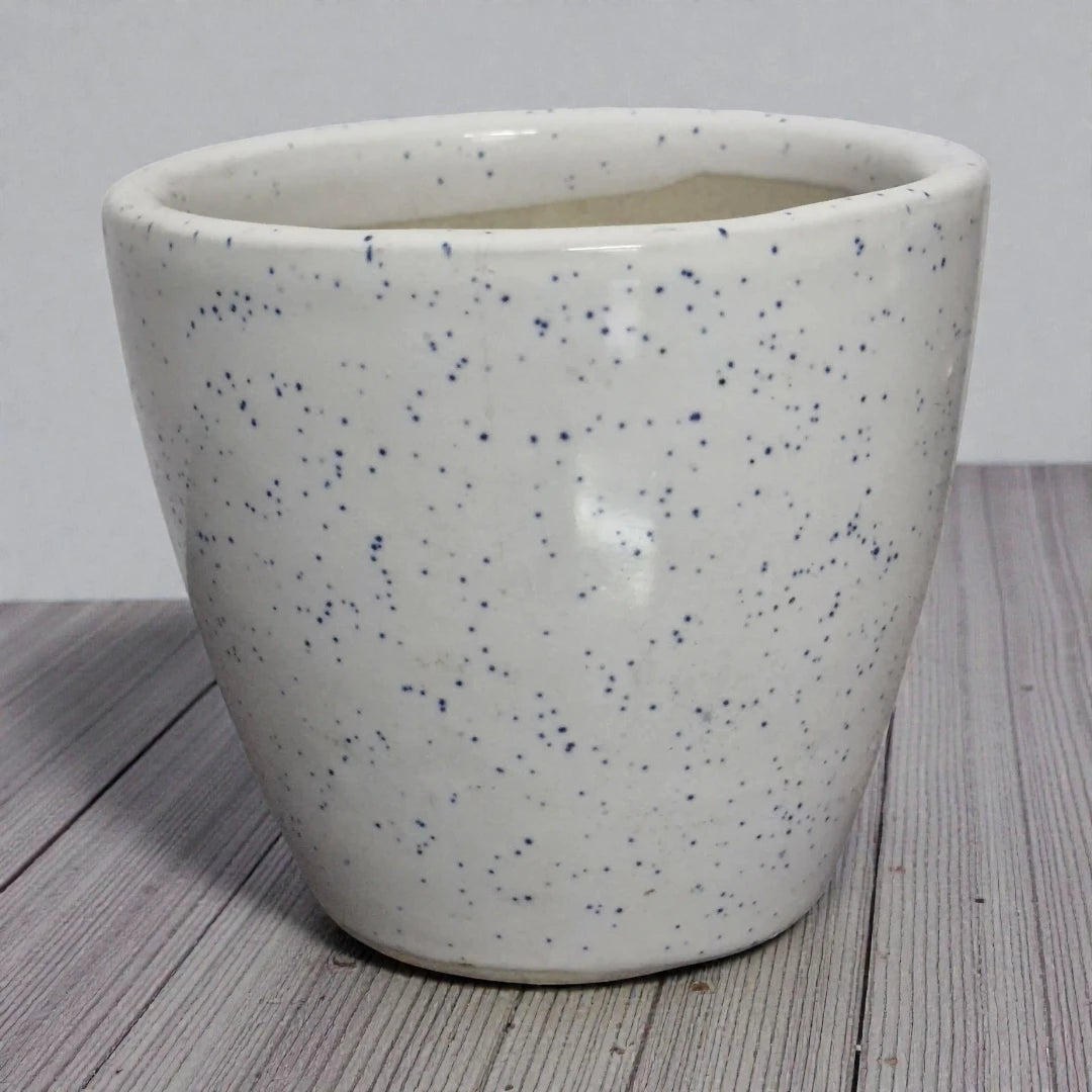 White Dotted Blue Pot