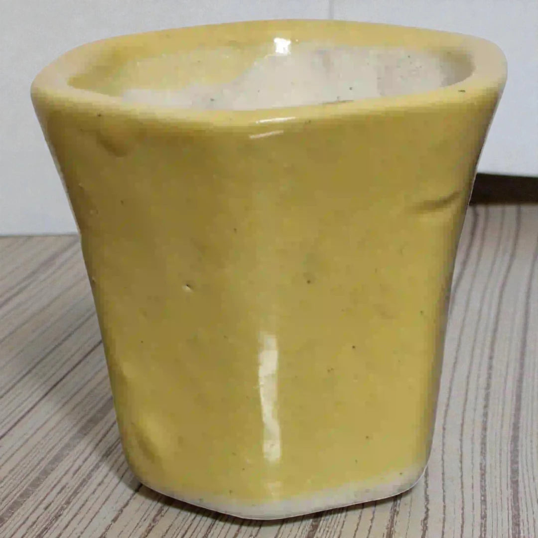 Yellow Rectangular Ceramic Pot