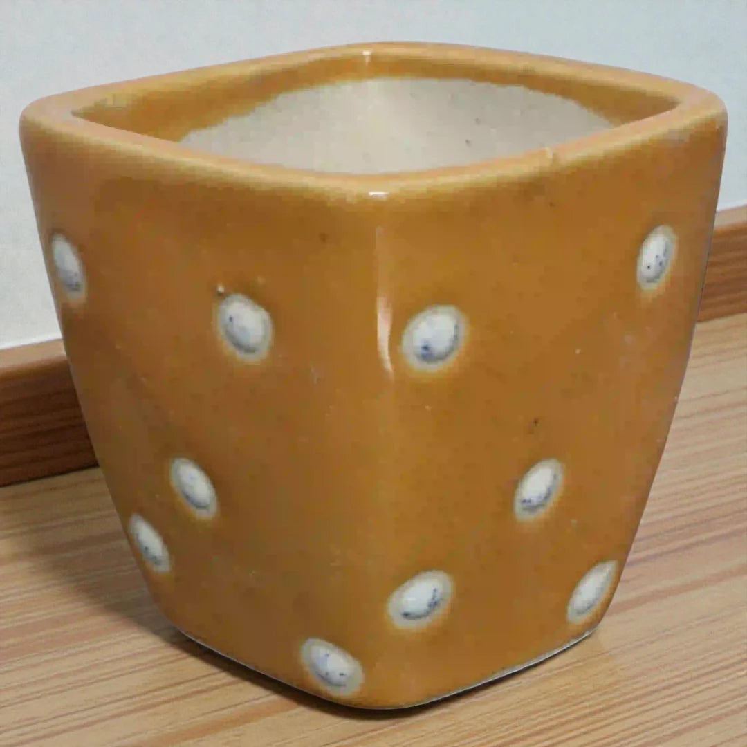 Big Yellow Dot Ceramic Planter (3inch)