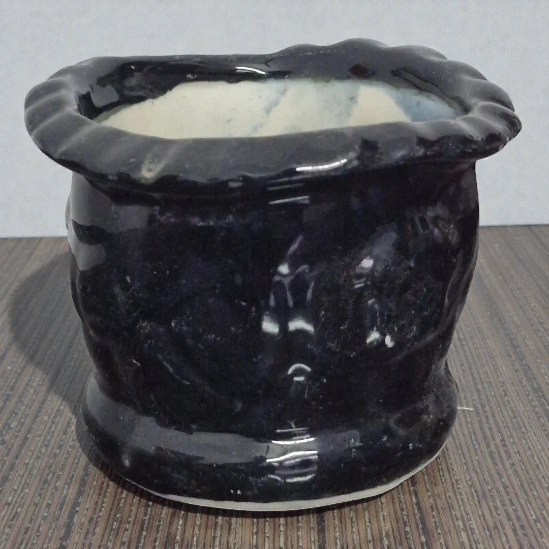 Black Basket Ceramic Planter