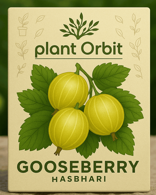 Gooseberry (Rasbhari) Hybrid Seeds