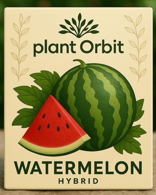 WATERMELON HYBRID SEEDS (30 seeds)