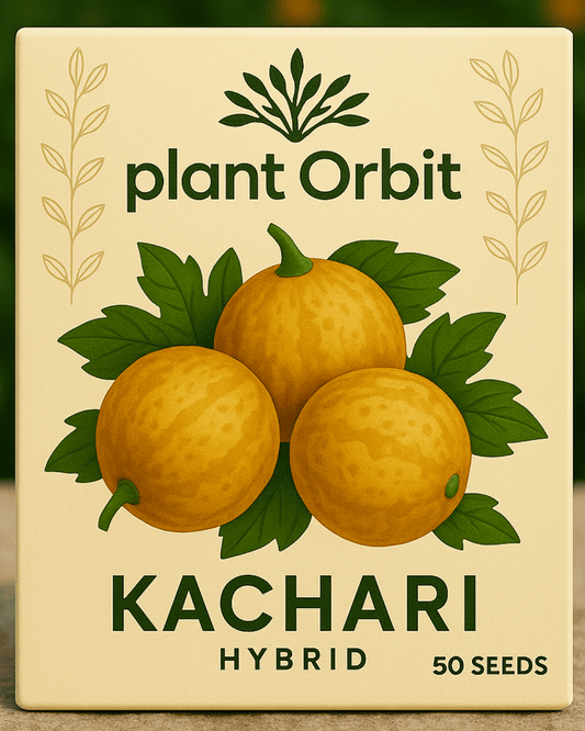 KACHARI HYBRID SEEDS (50 seeds)