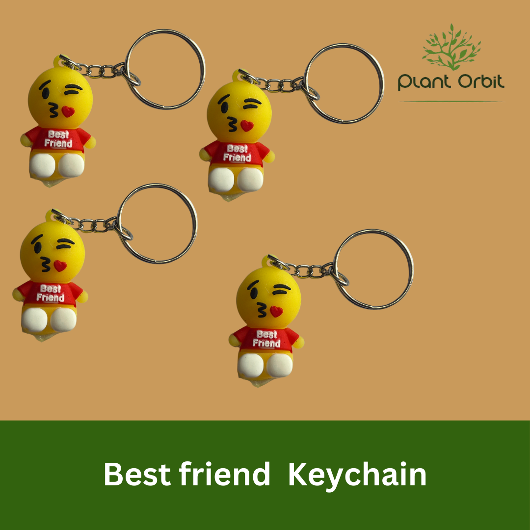 Best Friend Keychain (K-123)