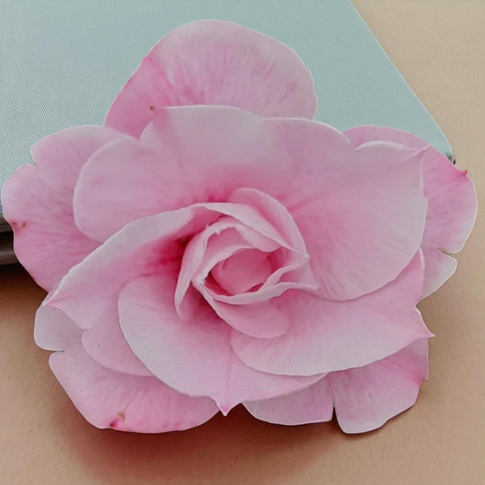 Adenium R4