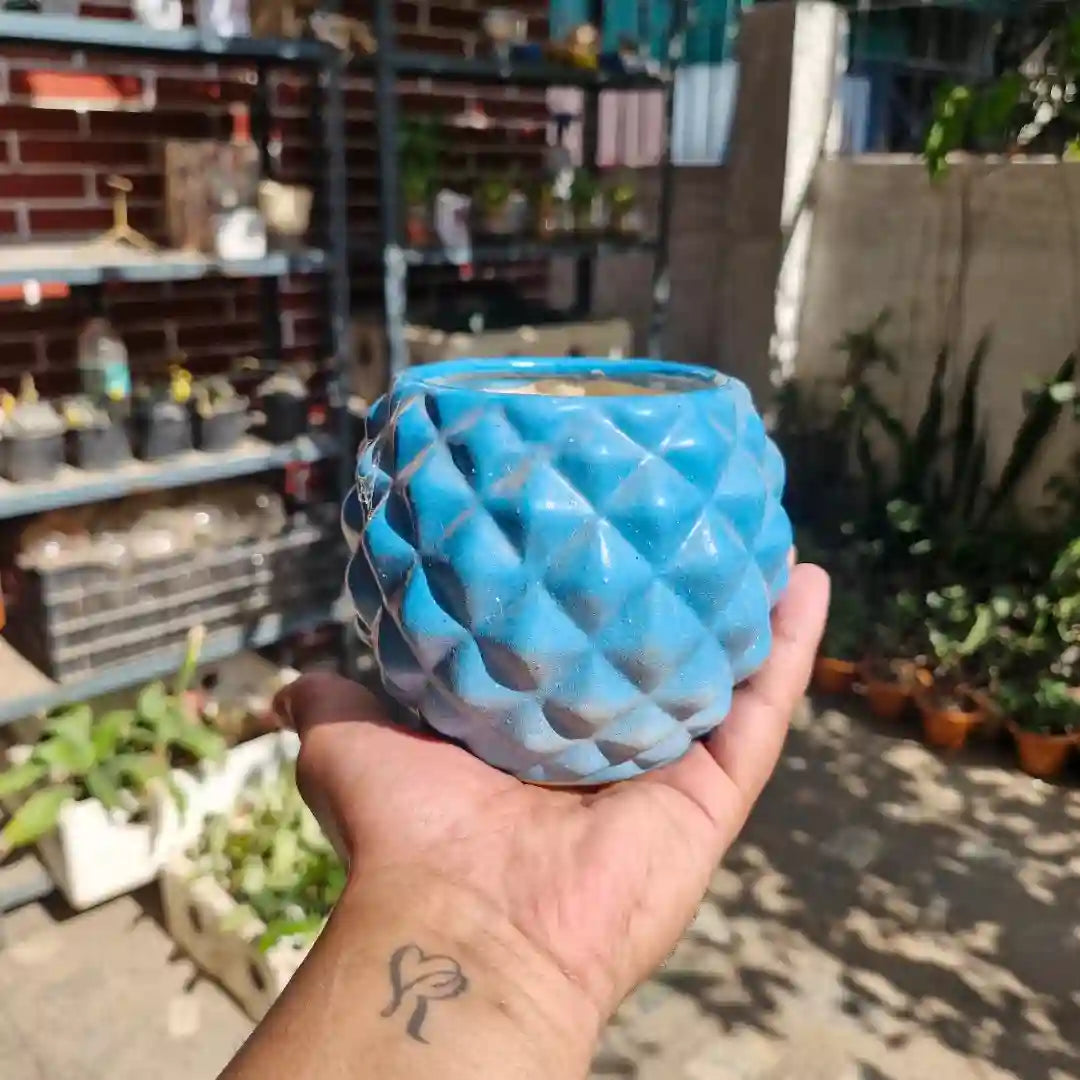Blue Diamond Ball Ceramic Planter