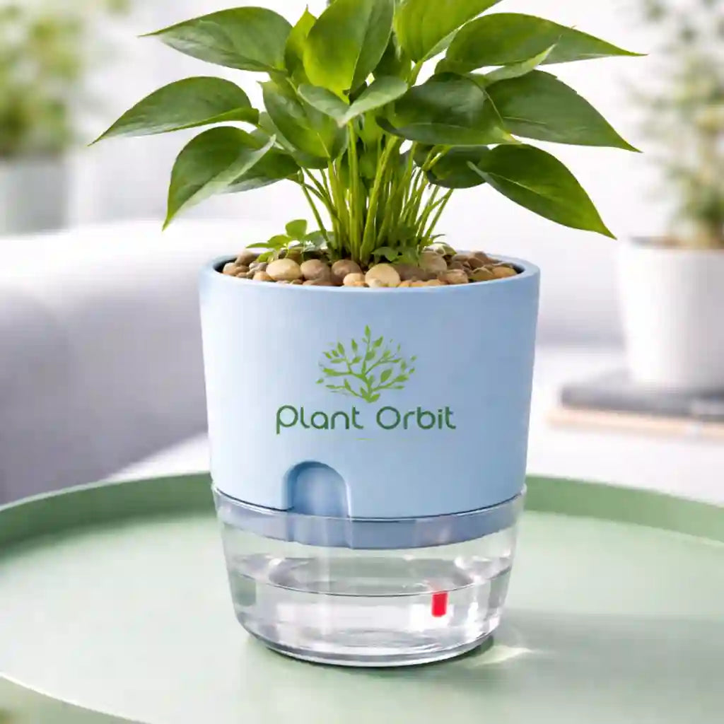 self watering planter blue Blue self watering pot – Plant Orbit