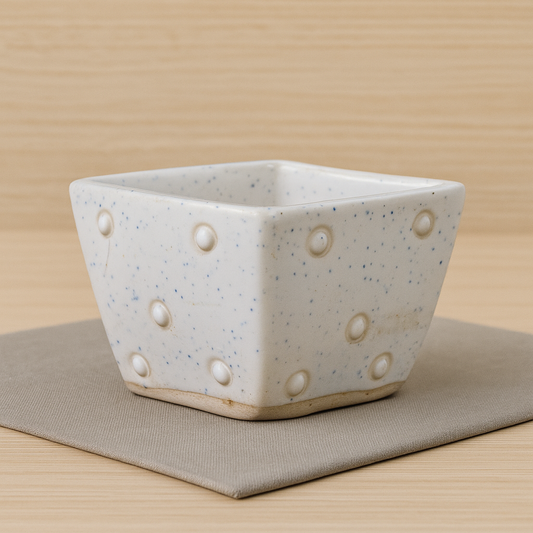 White Dotted Ceramic Planter