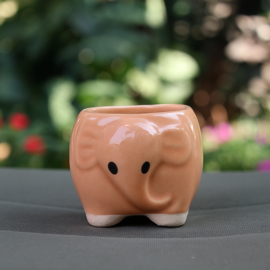 Small Skin Color Elephant Ceramic Planter