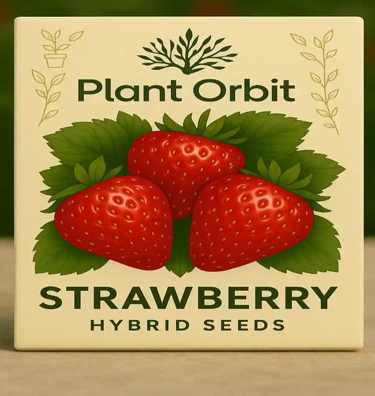 STRAWBERRY HYBRID SEEDS (100 seeds)