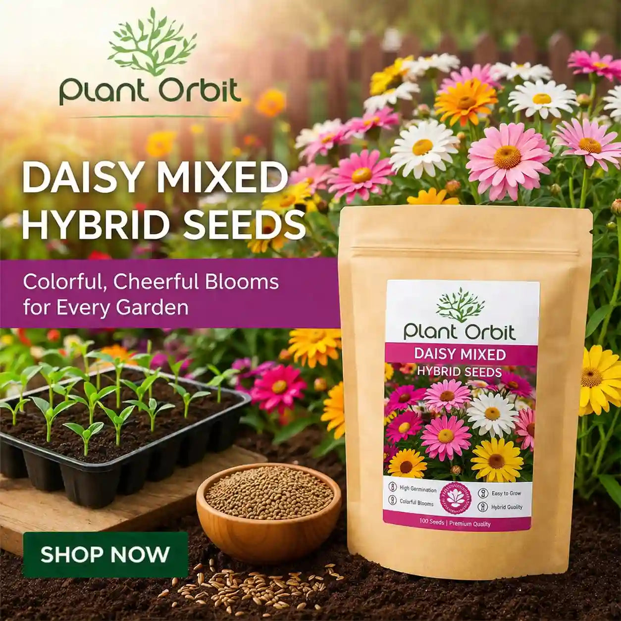 chandler strawberry seeds Strawberry, Chandler – The Boho Being, LLC main image 1