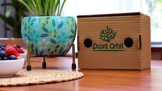 Light Blue Apple Meena Pot 1006 AQ