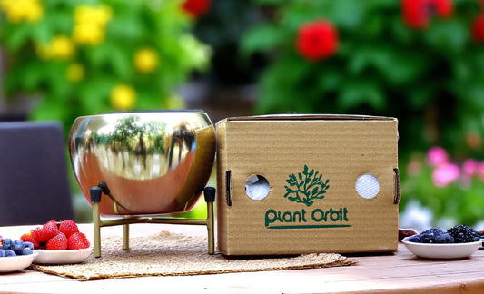 Golden Apple Meena Pot 1006 F