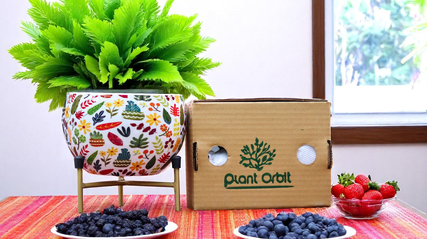 Apple Meena Pot 1054 G