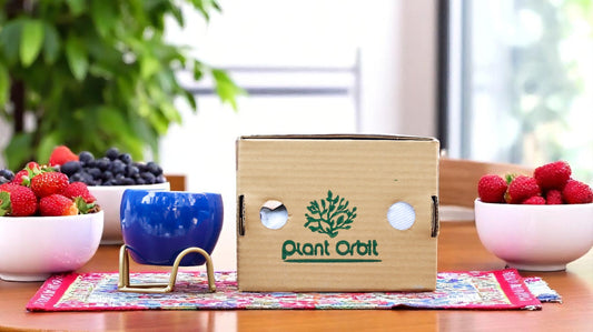 Small Blue Pot in Zig zag Planter 1107 C