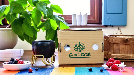 Small Black Pot in Zig Zag Stand 1107 A