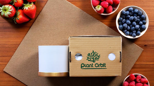 White Metal Planter with Golden Bottom Strips 1048 B