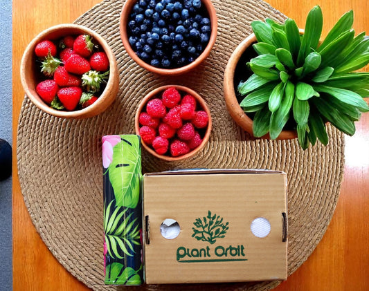 Hanging Magnet Planter (D2)