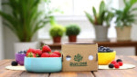 Bonsai Metal Bowl 1103 D