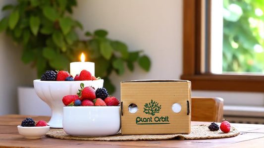 White Bowl Metal Planter 1103 B