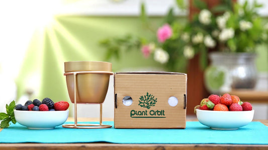 Golden Metal Planter with Gold Stand