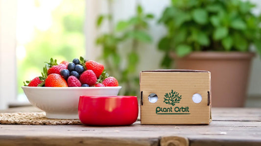 Red Bonsai Metal Planter 1103 C