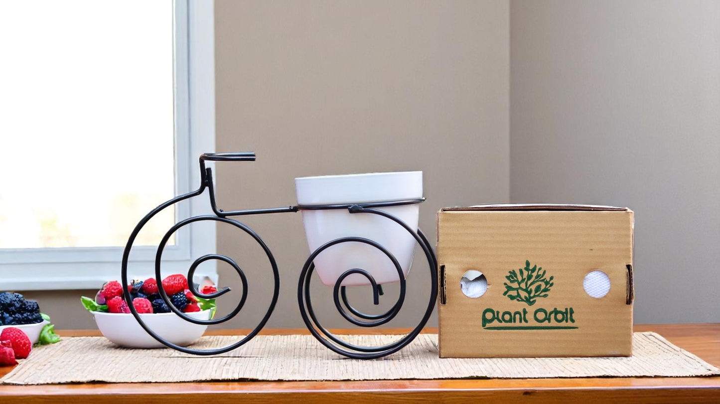 Cycle Metal Planter 1021 B