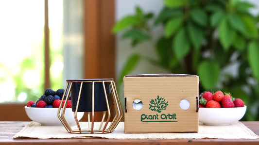 Golden Black Metal Planter 1263 A