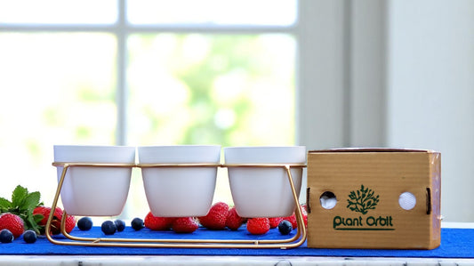 Trio Metal Planter with 3 White Pot 1129 B