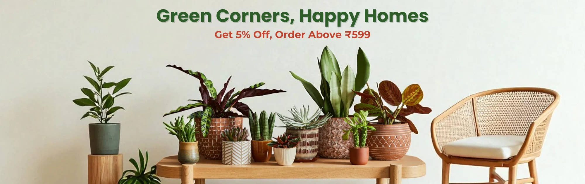 Indoor Plants