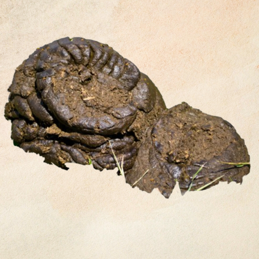 Cow dung Powder (50g)