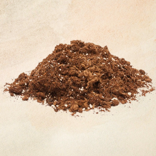 Cocopeat ( 50g)