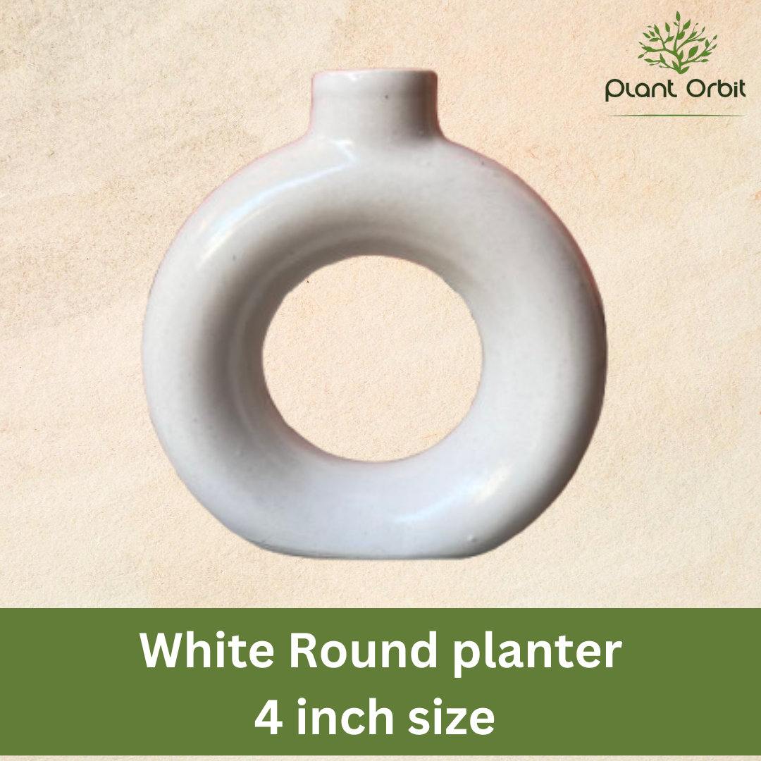 Round white pot