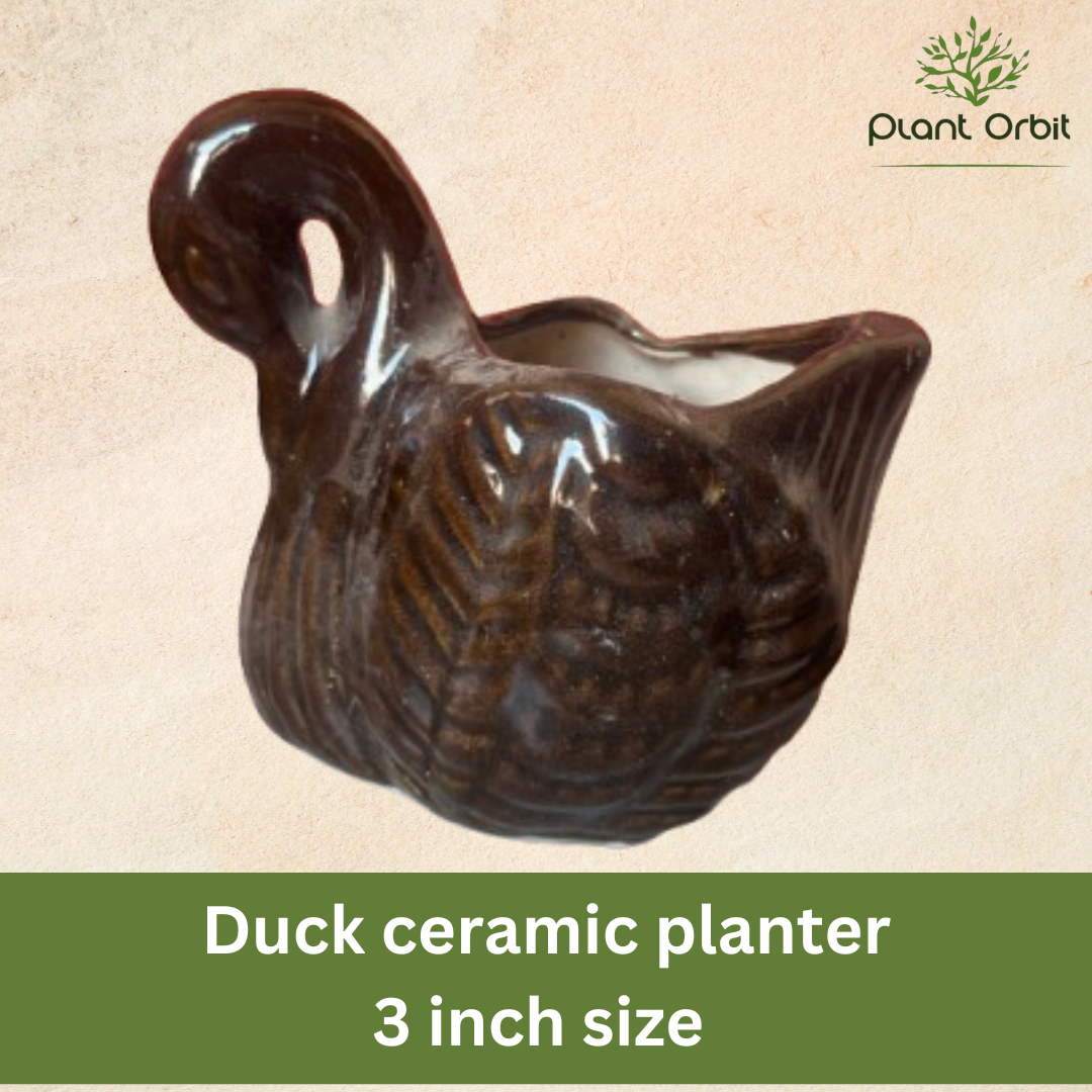 Duck brown pot