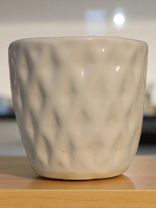 Small Cyclindrical White  Planter