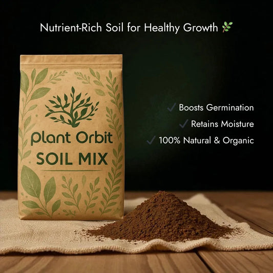 Sunflower Growing Kit (Seeds + Soil Mix + Coir Pot)