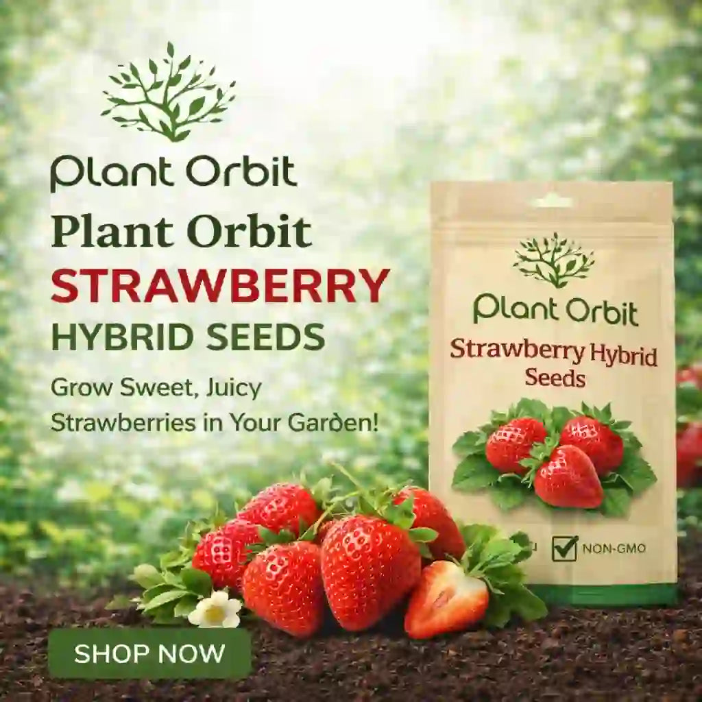 STRAWBERRY HYBRID SEEDS (100 seeds) – Plant Orbit