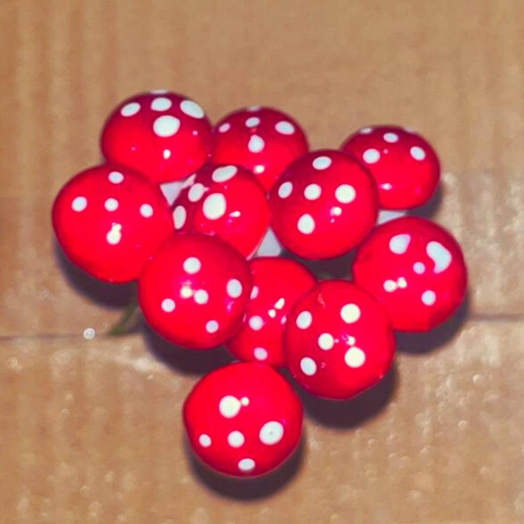 Red Pin Mushrooms Miniature