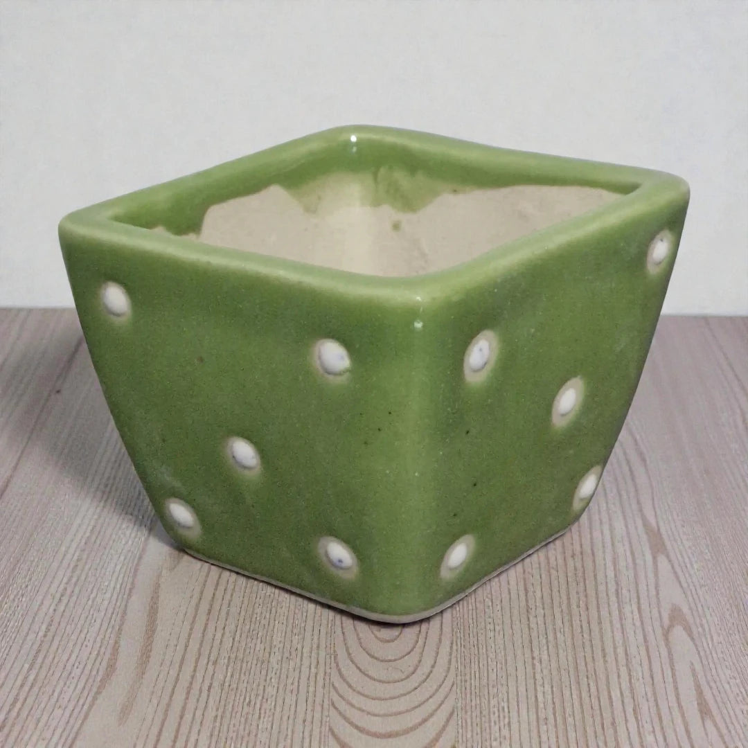 Green Dot Cup Pot Small