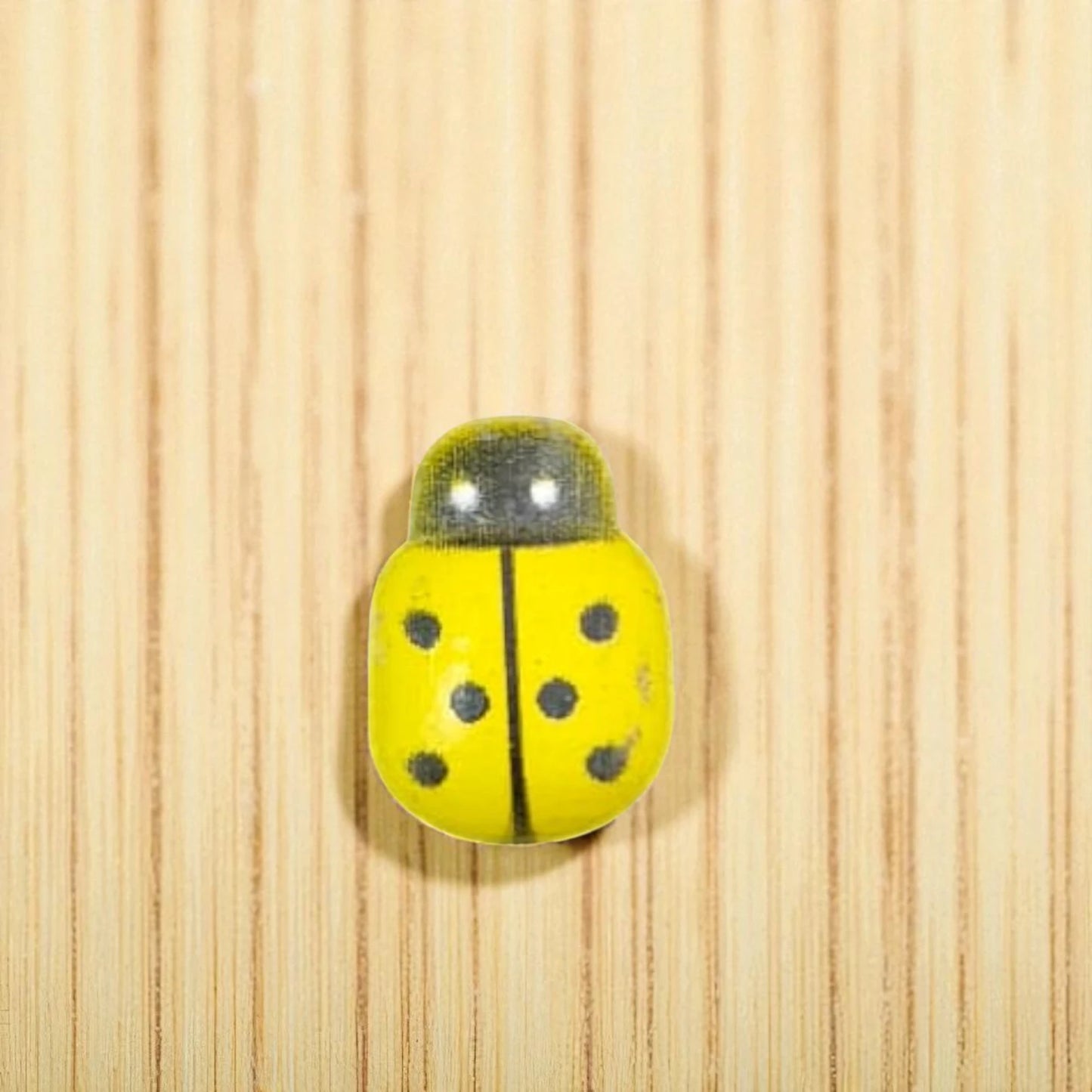 LADY BUGS MINIATURE (M-101)
