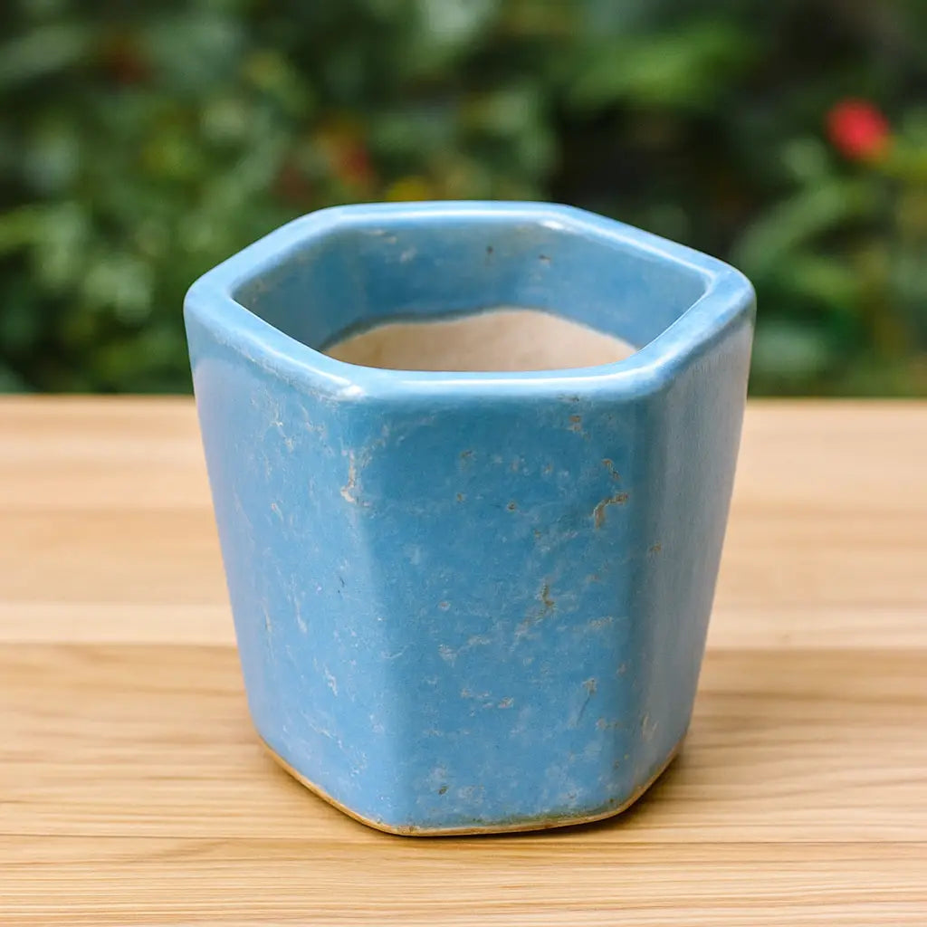 Blue Hexa Ceramic Planter