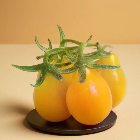 TOMATO PEAR YELLOW HYBRID SEEDS (40 seeds)