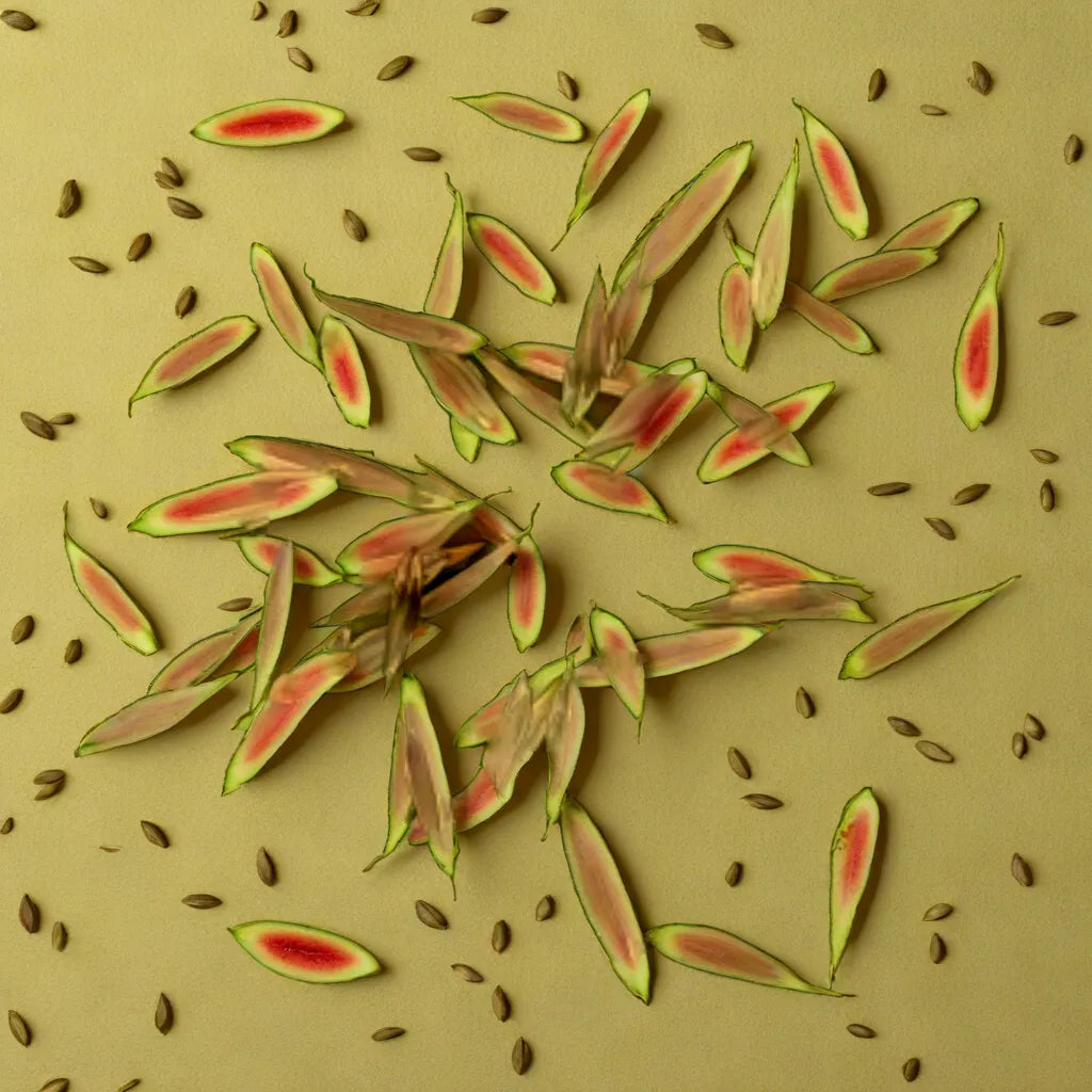 Lemon Grass Hybrid Seeds