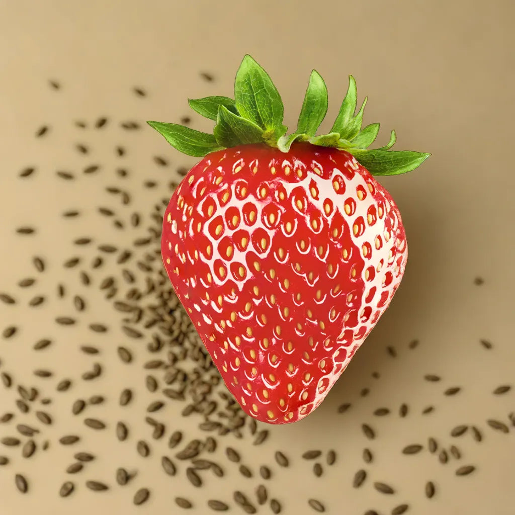 STRAWBERRY HYBRID SEEDS (100 seeds)