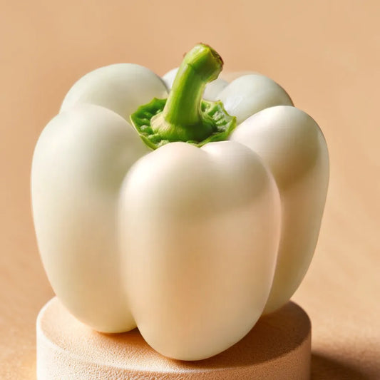 CAPSICUM (WHITE) HYBRID SEEDS (20 seeds)