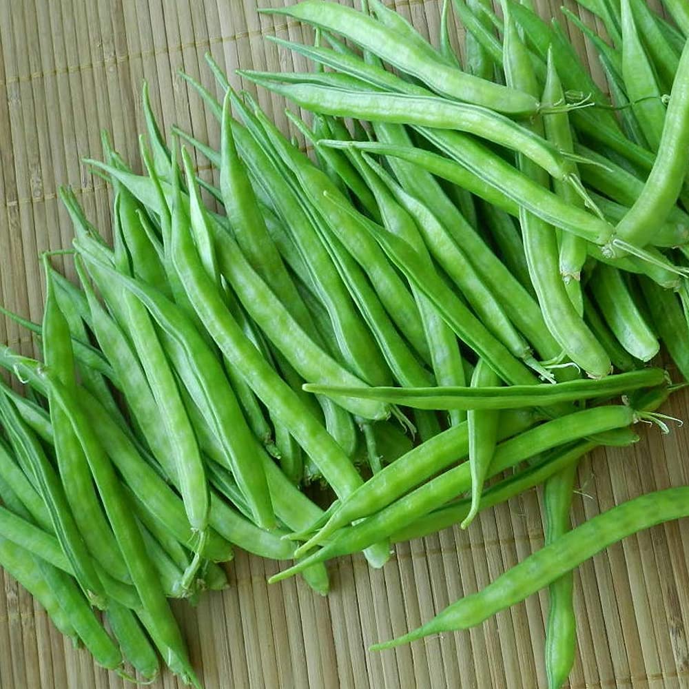 CLUSTER BEANS / GAWAR PHALLI HYBRID SEEDS (50 seeds) plant-orbit