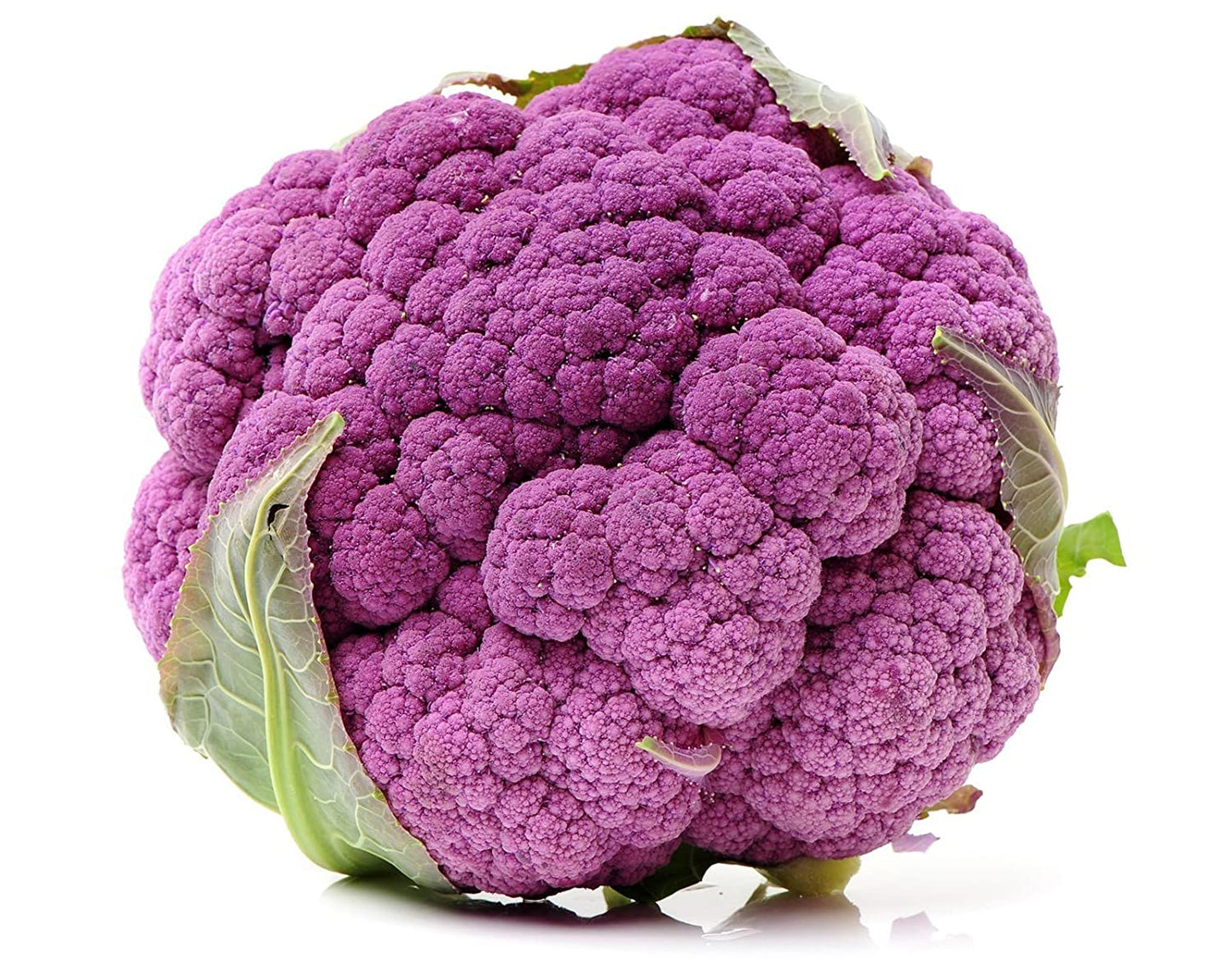 CAULIFLOWER PURPLE HYBRID SEEDS plant-orbit